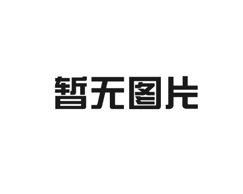AO 两性合成单宁